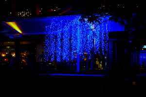 DARLING-HARBOR28OCT19 (32)